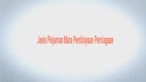 Jenis Pinjaman Mara Pembiayaan Perniagaan