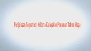 Penjelasan Terperinci Kriteria Kelayakan Pinjaman Tekun Niaga