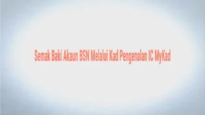 Semak Baki Akaun BSN dengan Mudah Melalui MyBSN